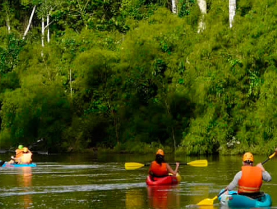 Kayak en Tambopata Reserva